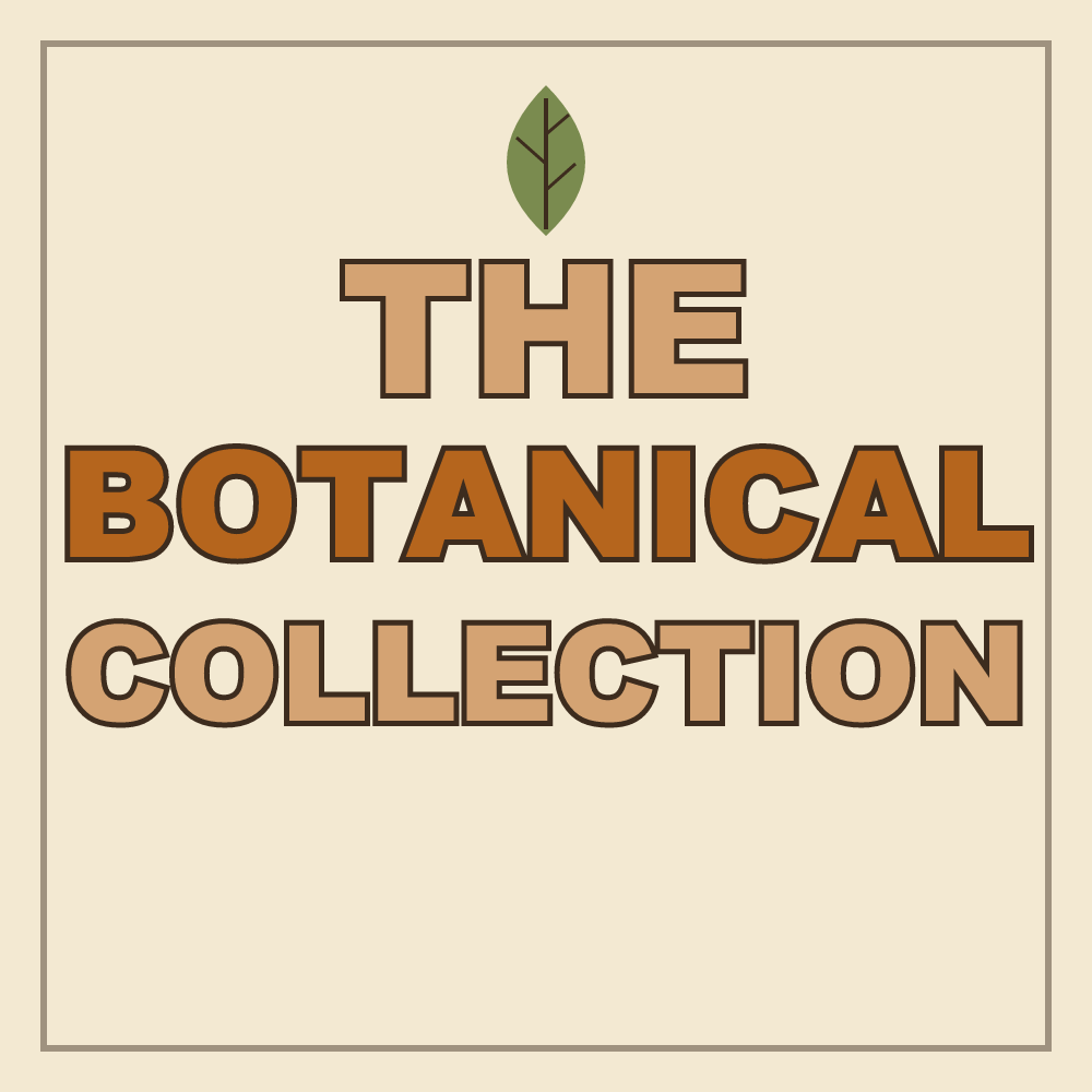 The Botanical Collection — Set of 6 Vintage Plant Prints, Printable Gallery Wall